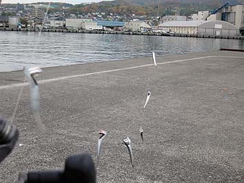 131029_1414jami.jpg(58777 byte)