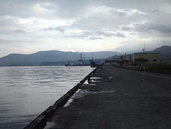 131029_1537migi.jpg(42408 byte)