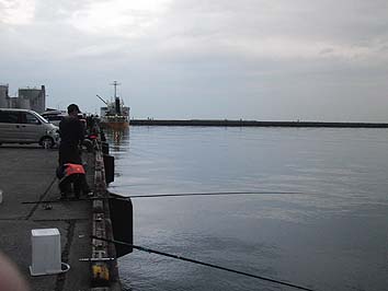 131029_1606umaya03.jpg(40304 byte)