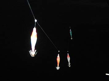 131029_1648sutte.jpg(30981 byte)