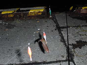 131029_1908mame.jpg(57740 byte)