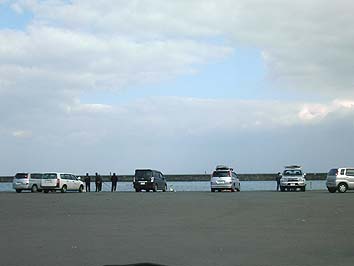 131116_1204wakatake.jpg(36131 byte)