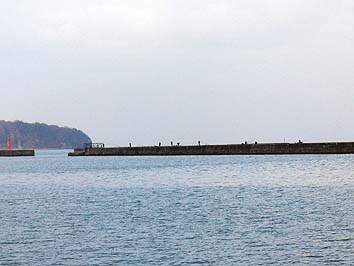 131116_1312minami.jpg(44760 byte)