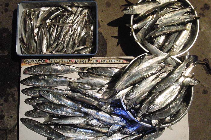 131203.jpg(147931 byte)