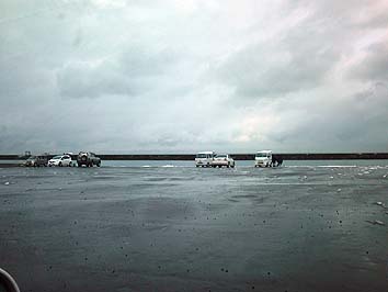 131203_1137wakatake.jpg(38991 byte)