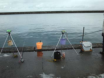 131203_1205turiza.jpg(48790 byte)