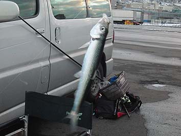 131203_1543nisin.jpg(51909 byte)