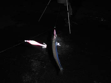 131203_1720suttenisin.jpg(32465 byte)