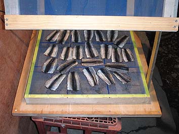 131203_mirin.jpg(59568 byte)