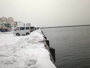 140108_1413hidari.jpg(44056 byte)