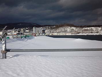 140124_1246ironaiokigawa.jpg(45589 byte)