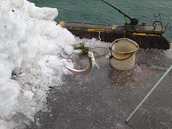 140124_1501tika.jpg(58285 byte)