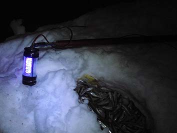 140124_2108uv.jpg(39588 byte)