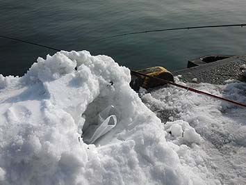 140227_1358reizouko.jpg(52042 byte)