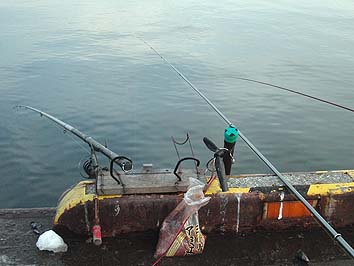 140227_1653saooki.jpg(50179 byte)