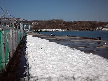 140414_1215ironai.jpg(52031 byte)