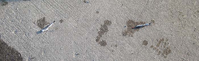 140414_1641sikake.jpg(100722 byte)
