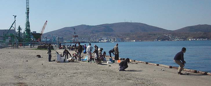 140429_1420katunai.jpg(71049 byte)
