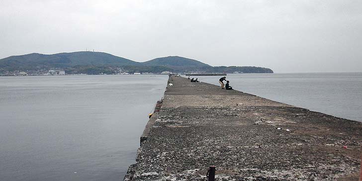 140512_1206mimani.jpg(69205 byte)