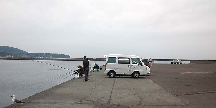 140512_1211wakatake.jpg(50686 byte)