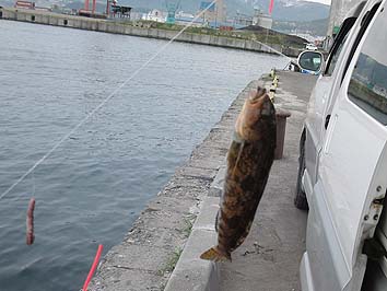 140512_1349abu.jpg(54904 byte)