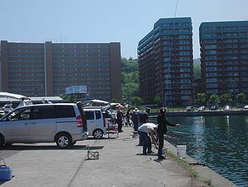 140625_1216wakatake.jpg(55137 byte)