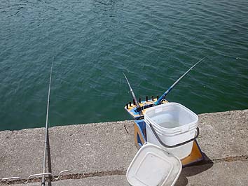 140625_1257turiza.jpg(56196 byte)