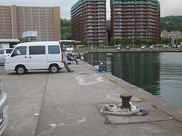 140702_1136wakatake.jpg(59444 byte)