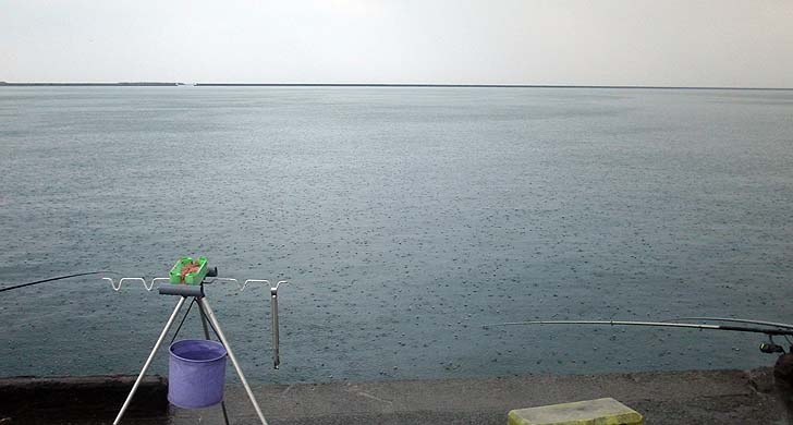 140714_1631ame.jpg(63135 byte)