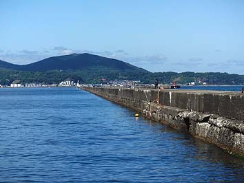 140826_1219minami.jpg(49866 byte)