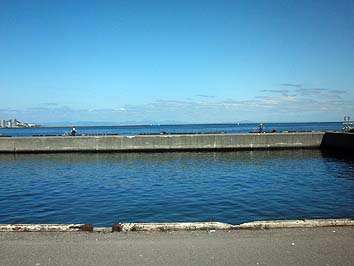 140826_1303konoji.jpg(44464 byte)