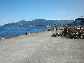 140826_1330migi.jpg(48803 byte)