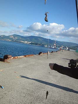 140826_1554syakohaze.jpg(51986 byte)