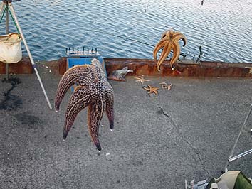 140826_1739htode.jpg(64725 byte)