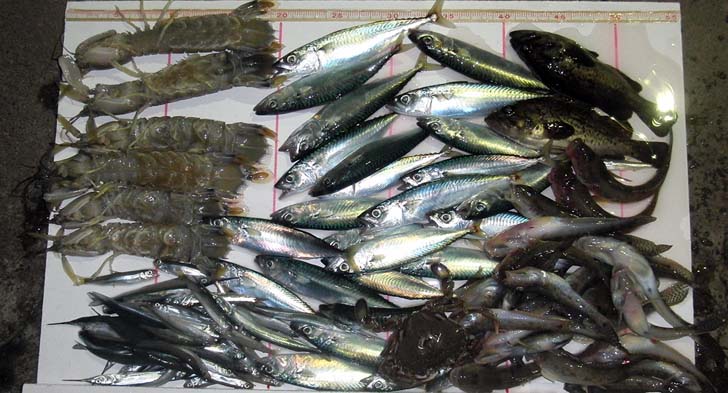 140923.jpg(103030 byte)