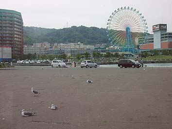 140923_1156wakatake.jpg(46398 byte)