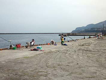 140923_1206katunai.jpg(48813 byte)