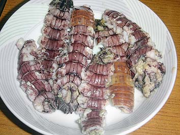 140923_syako02.jpg(68222 byte)