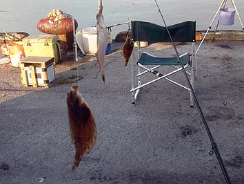 141001_0624karei.jpg(57983 byte)