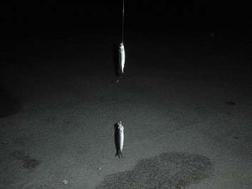 141001_2226.jpg(34656 byte)