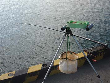 141007_7_1352sao.jpg(57153 byte)