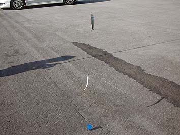 141007_7_1423nisin.jpg(48951 byte)