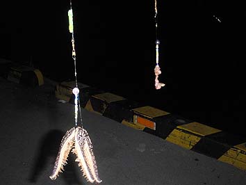 141007_7_1853hamosikake.jpg(38681 byte)