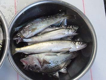 141007other.jpg(57475 byte)