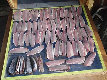 141007ryouri_migaki.jpg(66557 byte)