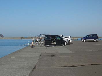 141105_1227wakatake.jpg(38786 byte)