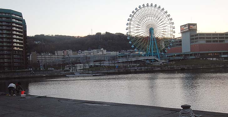 141105_1612wakatake.jpg(89723 byte)