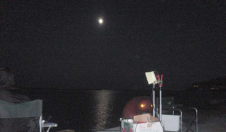 141105_1653ferry.jpg(91514 byte)