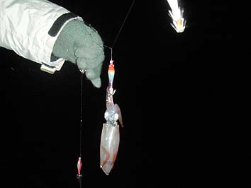 141105_1751mame.jpg(35926 byte)