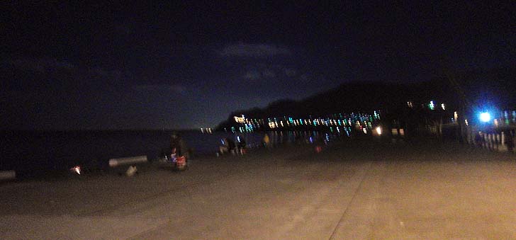 141105_1909ferry.jpg(52726 byte)